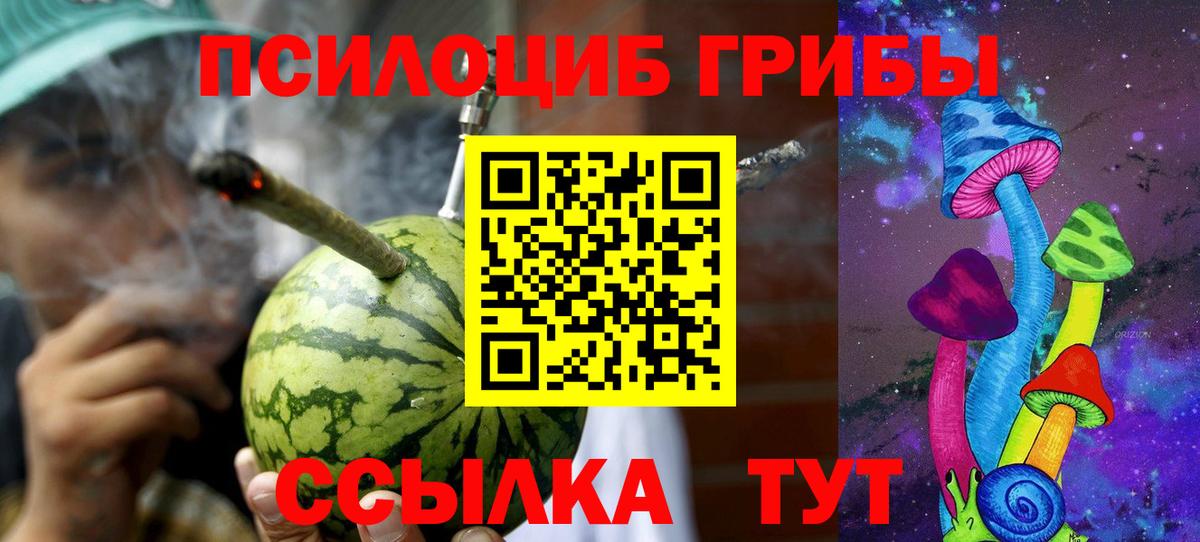 Галлюциногенные грибы мухоморы Краснознаменск