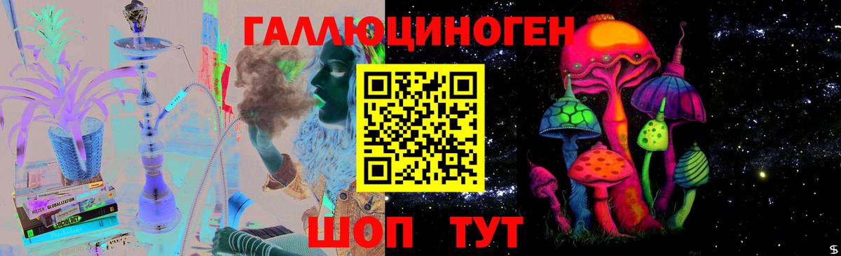 Краснознаменск  Псилоцибиновые грибы Psilocybe  Вход с VPN 