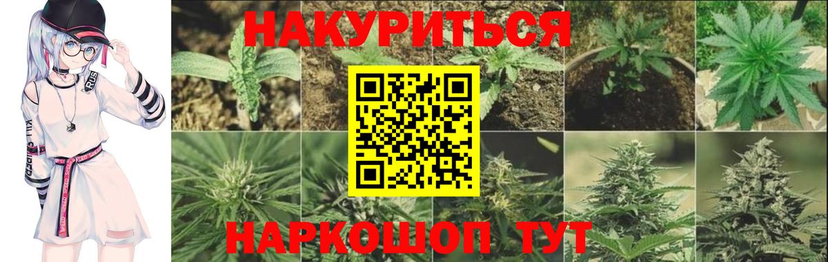 Марихуана ГИДРОПОН  Вход с VPN  Шишки марихуана THC 21%  Конопля марихуана  Краснознаменск  Каннабис конопля 